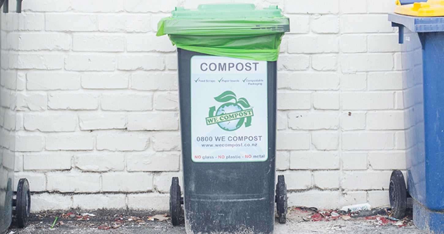 Proof compostable packaging is winning