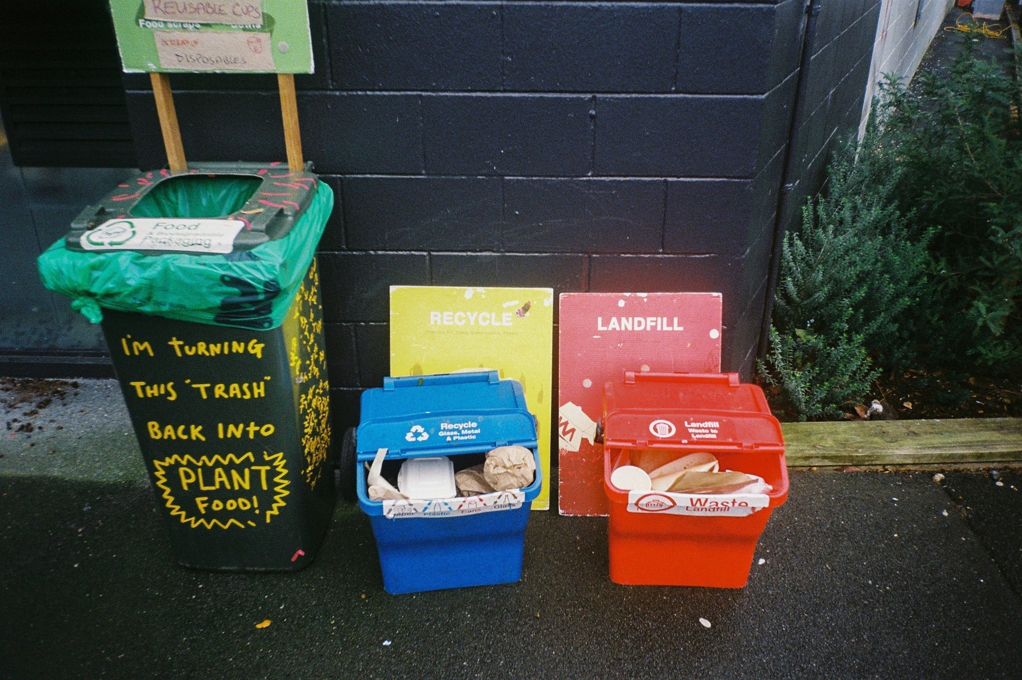 Recycle Nz Ecoware - Packaging Made From Plants