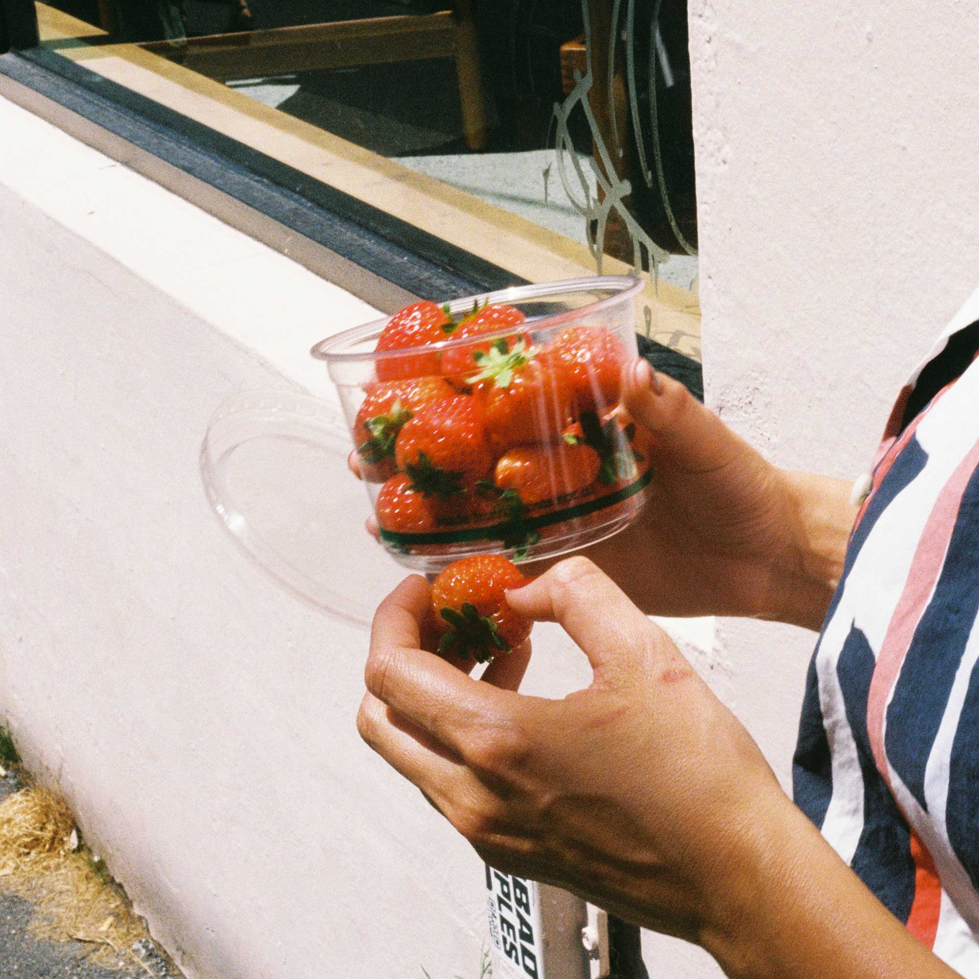 117mm EcoDeli Bowl Lid – Ecoware
